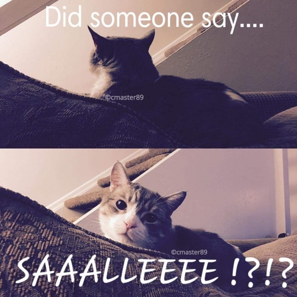 >>>>>> - Picture 2 of 2